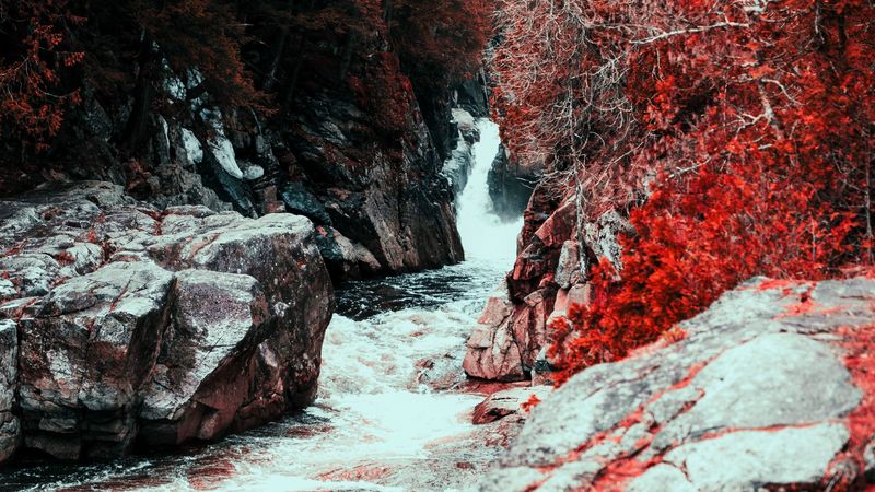 waterfall, water, flow, stones, red leaves, 4k
