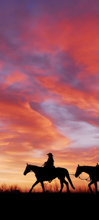 Photography Cowboy, Sky, Horse, Sunset, Silhouette, 1080x2400