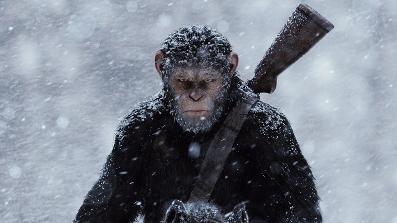 War for the Planet of the Apes, ape, 4k
