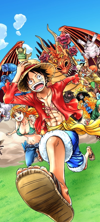 Anime One Piece, Franky (One Piece), Nami (One Piece), Brook (One Piece), Monkey D. Luffy, Nico Robin, 1080x2400