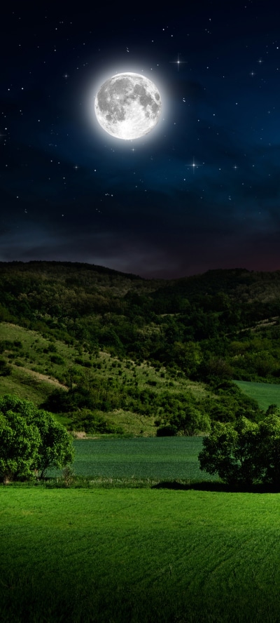 Earth Moon, Field, Sky, Night, 1080x2400