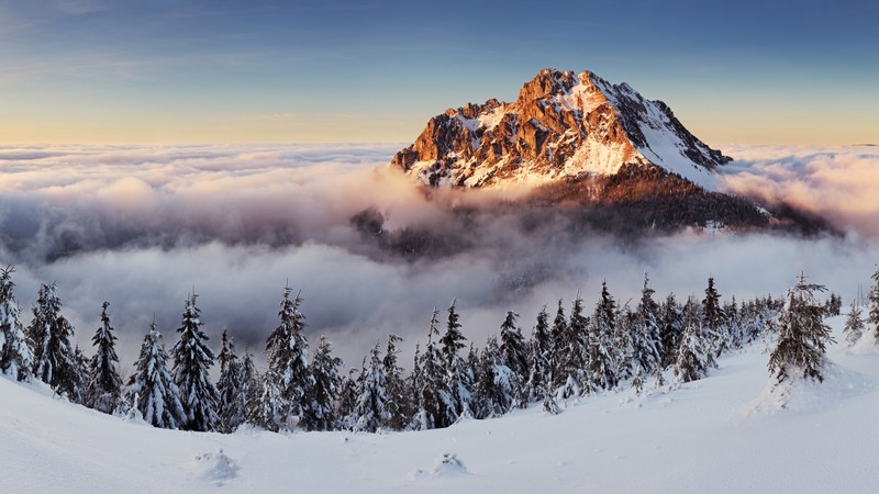 Slovakia, 4k, mountains, fog, pines, snow