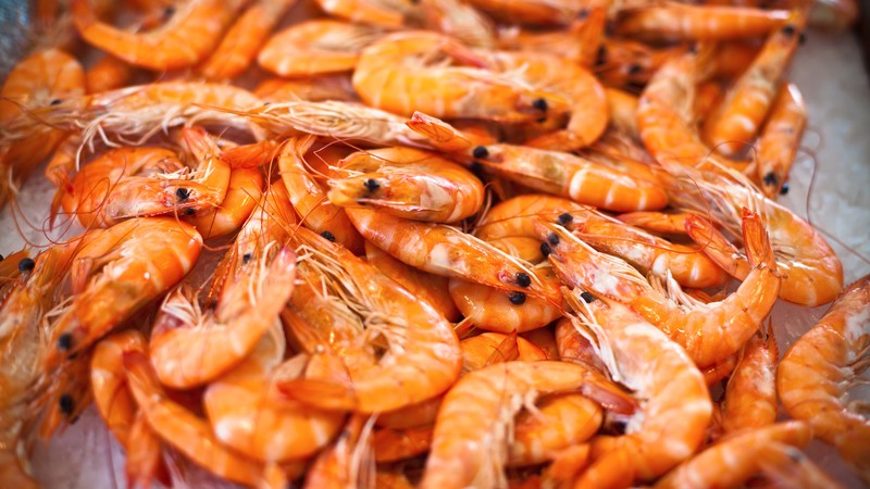 shrimp