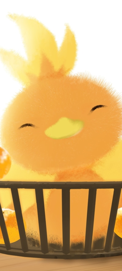 Anime Pokémon, Cute, Torchic (Pokemon), 1080x2400