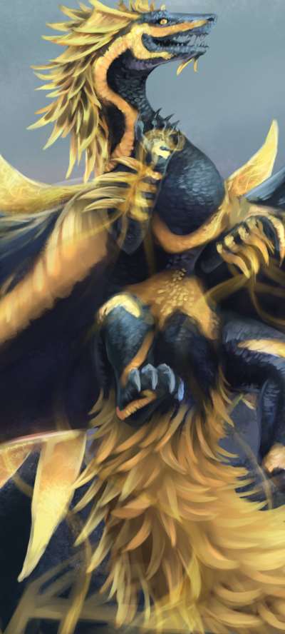 Fantasy Dragon, 1080x2400