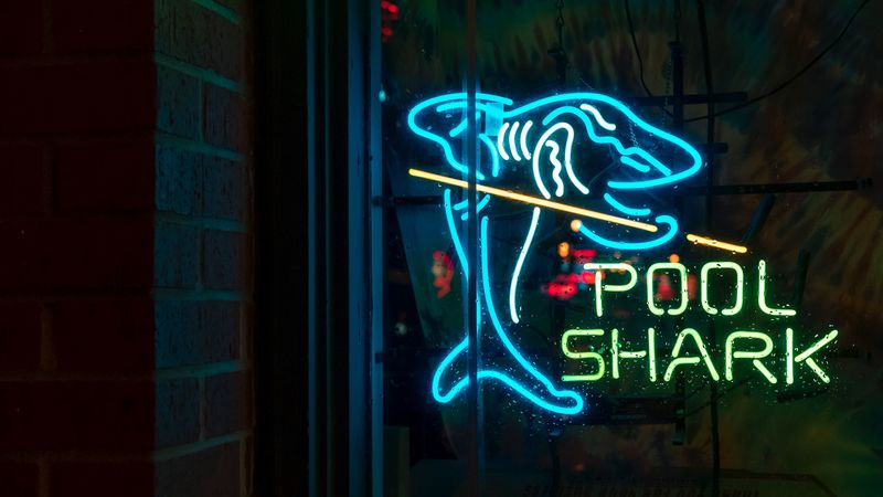 inscription, words, neon, shark, 4k