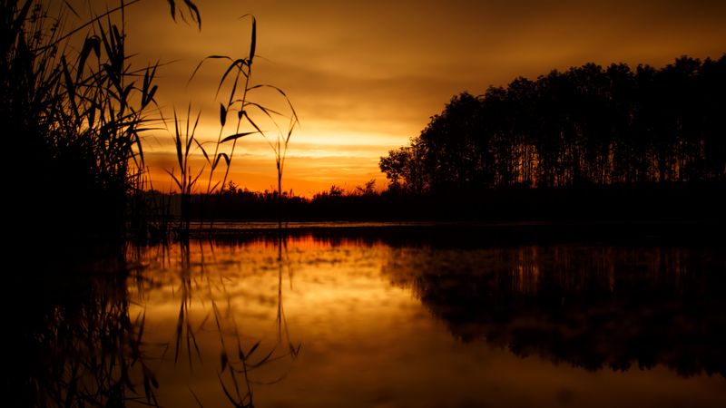 sunset, horizon, grass, sky, 4k