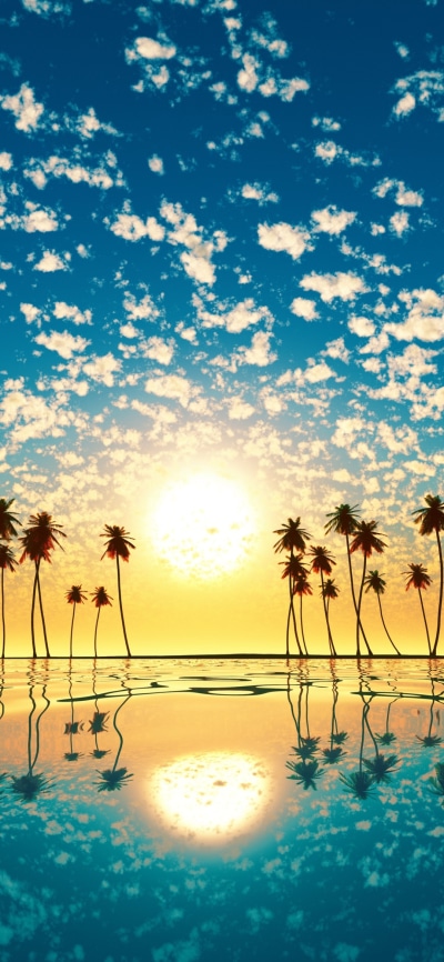 Earth Sunset, Sun, Reflection, Sky, Palm Tree, 1080x2340