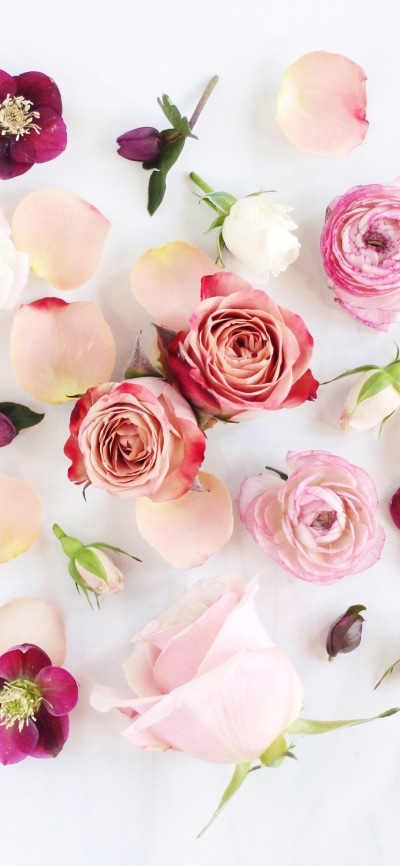 Artistic Flower, Anemone, Pink Flower, Rose, Peony, White Flower, 1080x2340