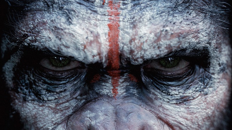 War for the Planet of the Apes, ape, 4k