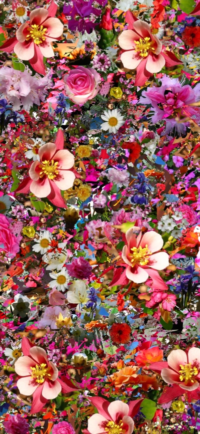 Artistic Flower, Colorful, Colors, 1080x2340