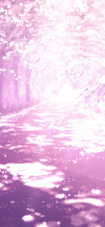 Anime Street, Cherry Tree, Cherry Blossom, 1080x2340