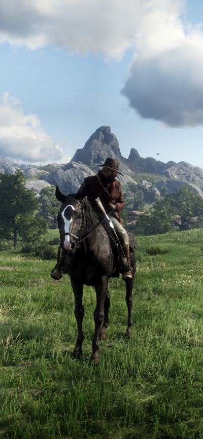 Video Game Red Dead Redemption 2, 1080x2340