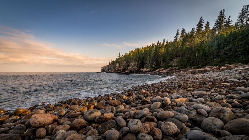 sea, coast, stones, rocks, forest, 4k