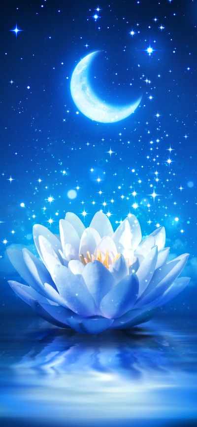 Artistic Flower, Stars, Reflection, Night, Moon, Sparkles, 1080x2340