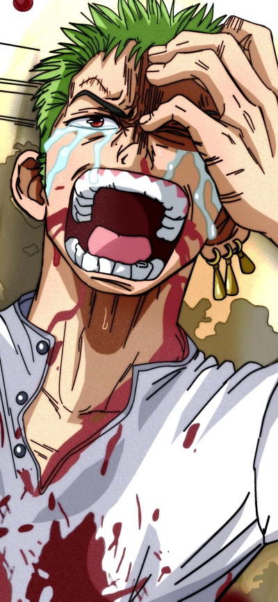 Anime One Piece, Roronoa Zoro, 1080x2340
