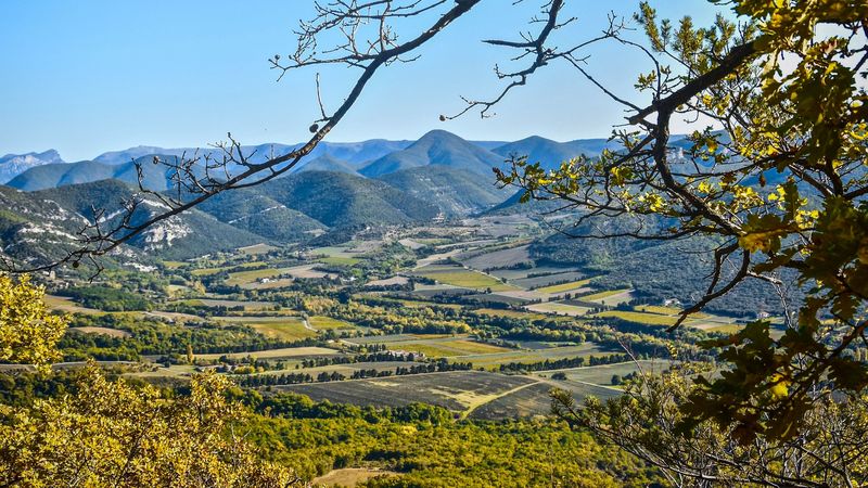 landscape, peaks, branch, hills, 4k