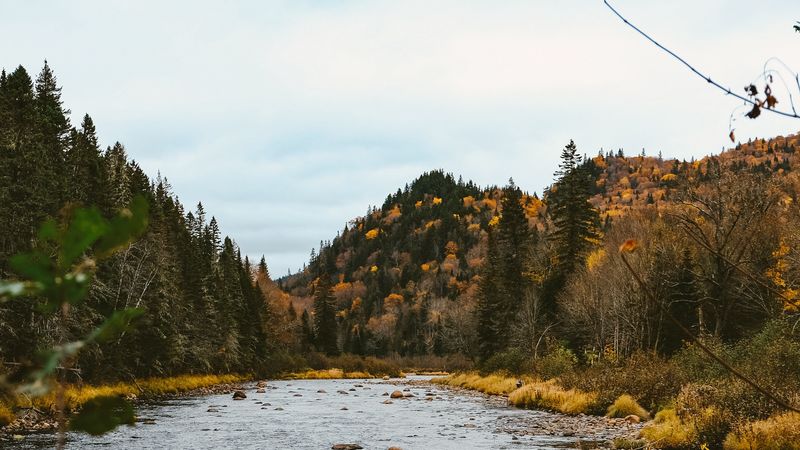 autumn, river, hills, forest, 4k