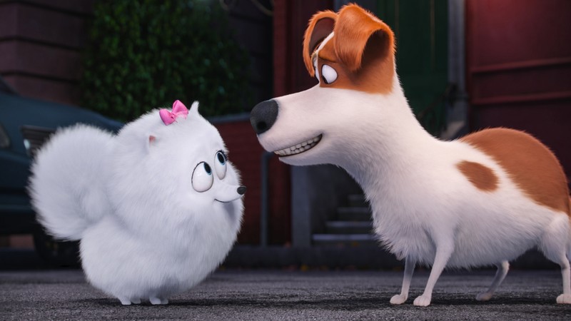 The Secret Life of Pets, dog, Best Animation Movies of 2016, cartoon