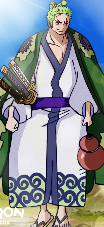 Anime One Piece, Tonoyasu (One Piece), Roronoa Zoro, 1080x2340