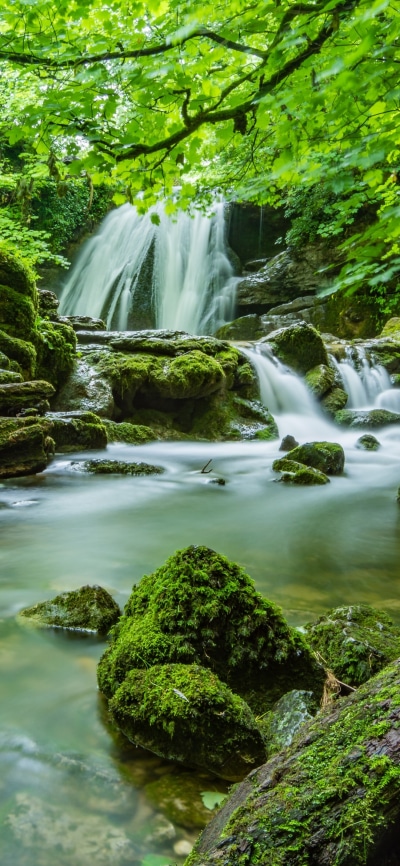 Earth Waterfall, Greenery, 1080x2340