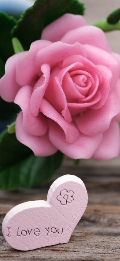 Man Made Flower, Heart, Pink Rose, 1080x2340