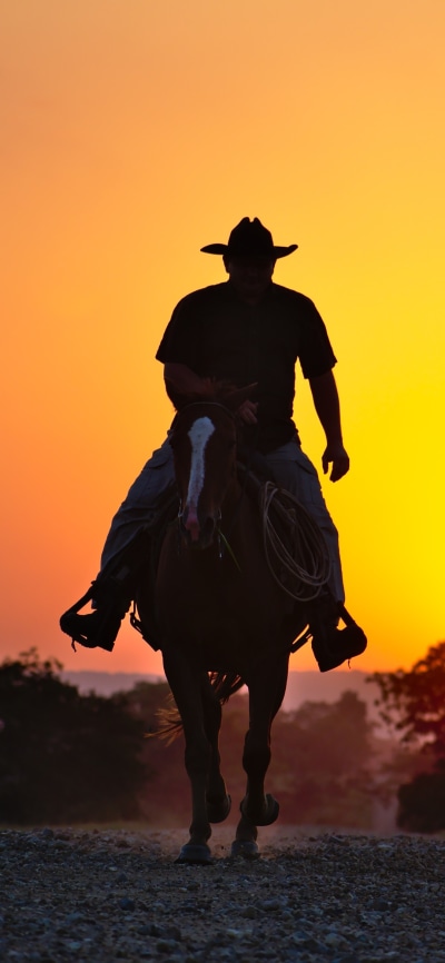Photography Cowboy, Horse, Silhouette, Sunset, 1080x2340