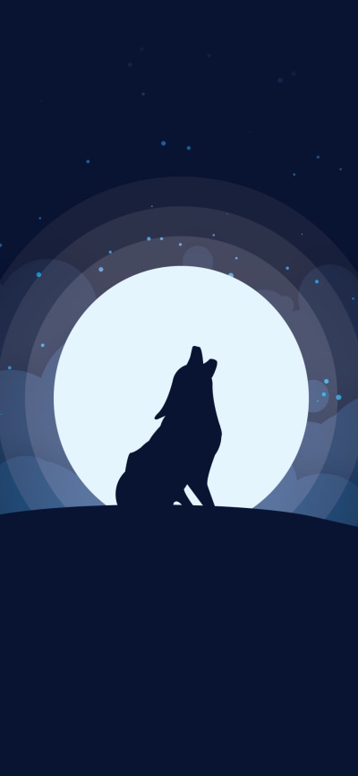 Animal Wolf, Night, Moon, Howling, 1080x2340