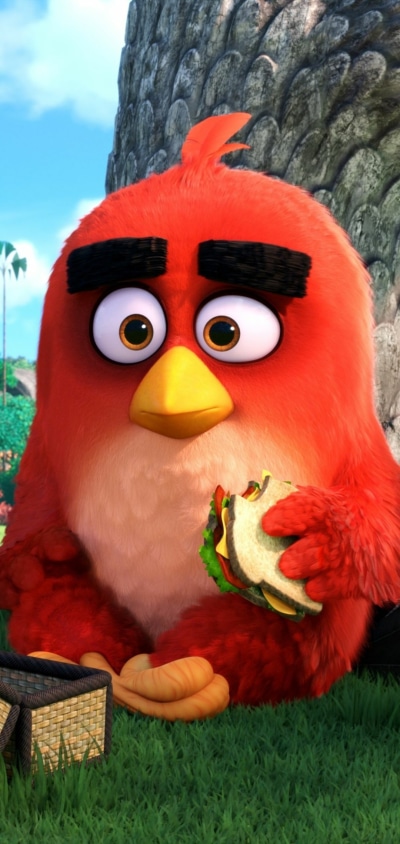 Movie The Angry Birds Movie, 1080x2280