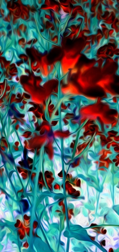 Artistic Flower, Oil Painting, Red Flower, 1080x2280