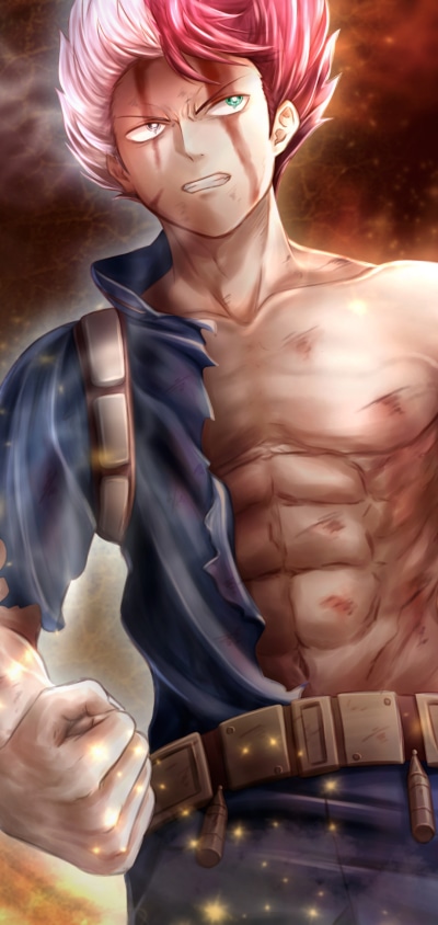 Anime My Hero Academia, Shoto Todoroki, Two-toned Hair, 1080x2280