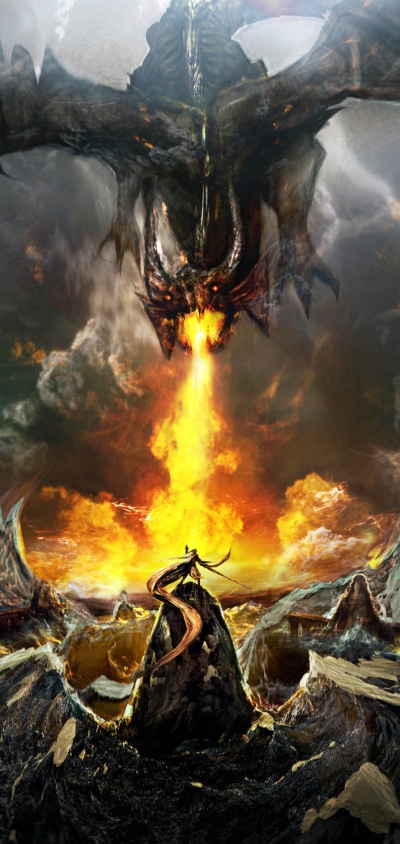 Fantasy Dragon, Warrior, Fire, 1080x2280