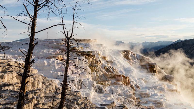 steam, trees, ice, icy, 4k