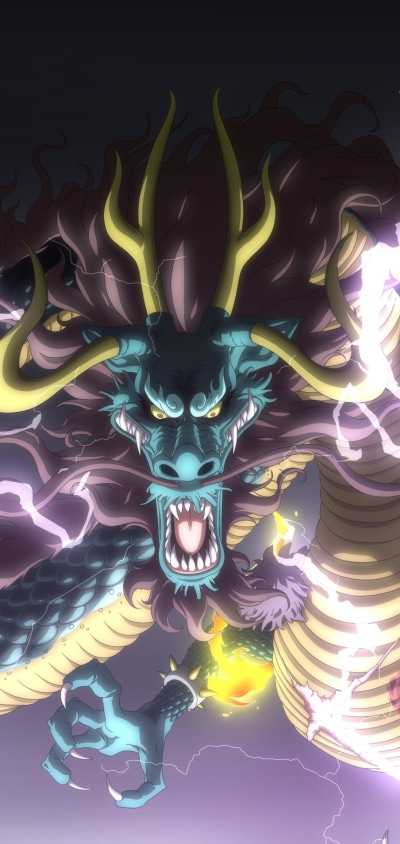 Anime One Piece, Kaido (One Piece), 1080x2280