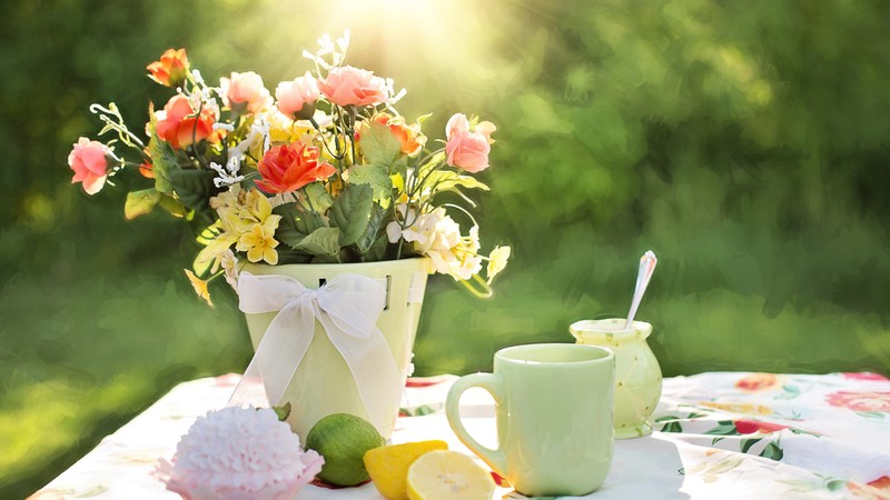 Spring flowers, 4k, summer flowers, summer, sun
