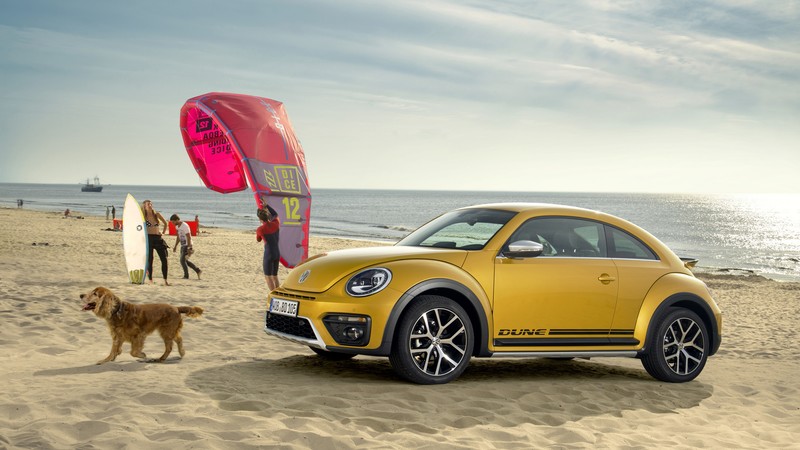 Volkswagen Beetle Dune, yellow, beach, sky, dog