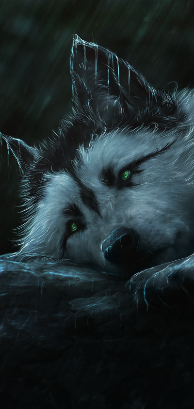 Fantasy Wolf, Rain, 1080x2280