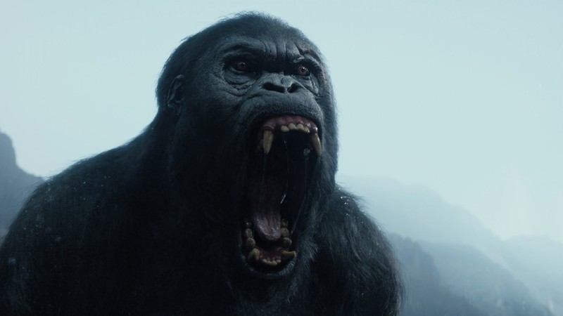 The Legend of Tarzan, gorilla, best movies 2016