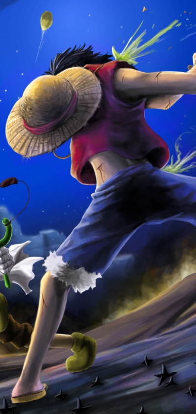 Anime One Piece, Monkey D. Luffy, 1080x2280