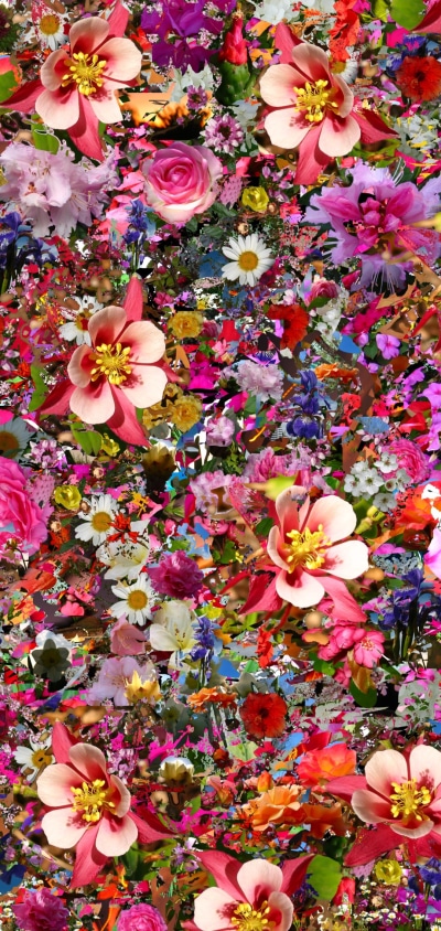 Artistic Flower, Colorful, Colors, 1080x2280