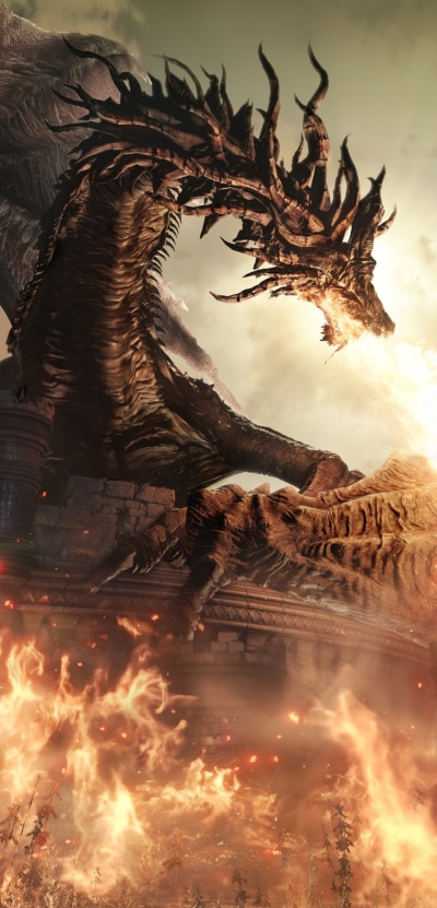 Video Game Dark Souls III, 1080x2246