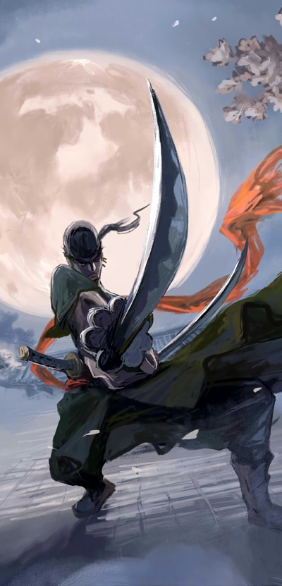Anime One Piece, Roronoa Zoro, 1080x2246