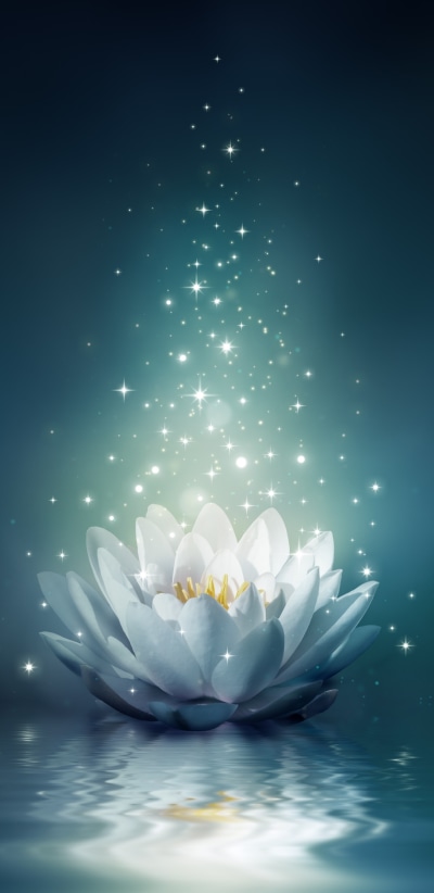 Artistic Flower, Light, Water Lily, Water, 1080x2220