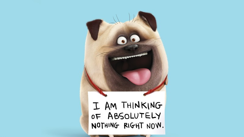 The Secret Life of Pets, mel, Best Animation Movies of 2016, cartoon
