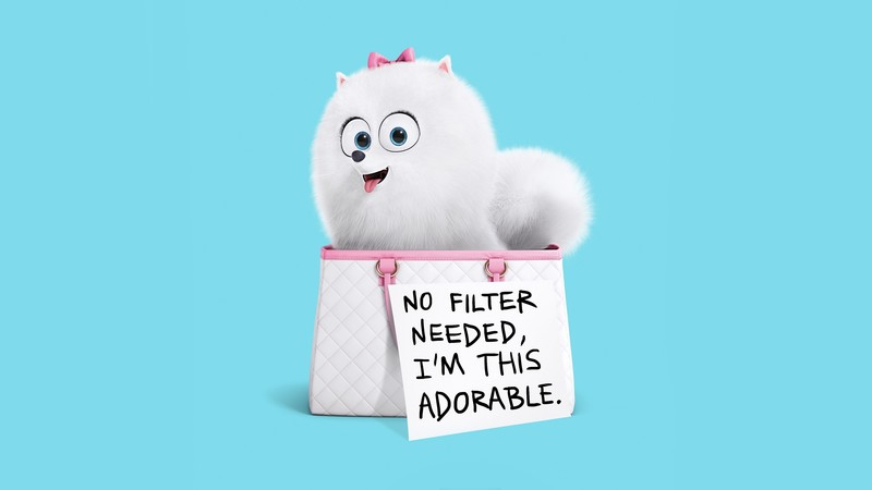 The Secret Life of Pets, gidget, Best Animation Movies of 2016, cartoon