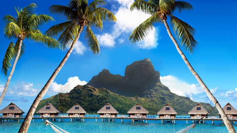 Bora Bora, 4K, French Polynesia, Best beaches of 2017, Best Hotels of 2017, ocean, palm trees, mountains, beach, vacation, rest, travel, booking, palm trees, hammock