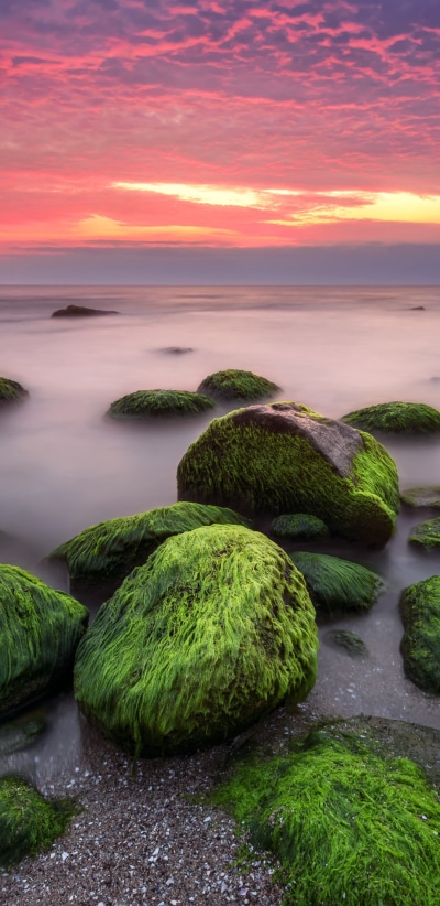 Earth Ocean, Nature, Moss, Cloud, Sunset, Horizon, 1080x2220