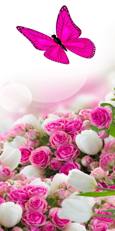 Artistic Butterfly, White Flower, Pink Flower, Rose, 1080x2160