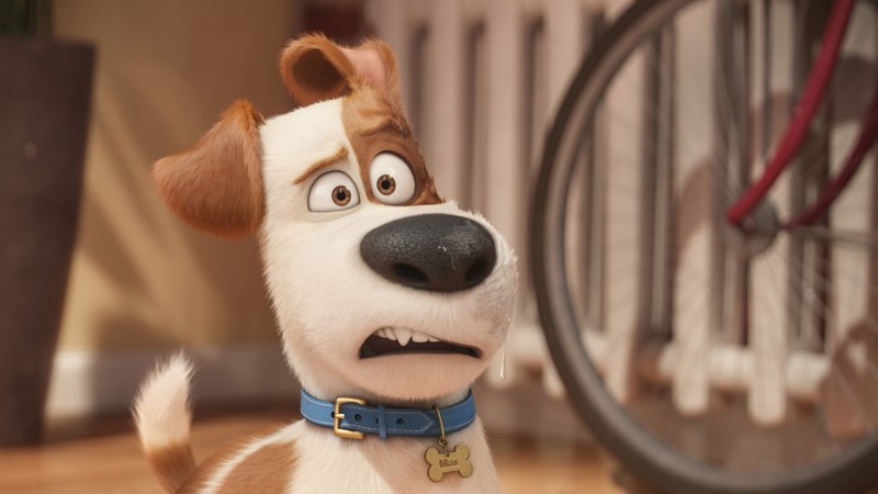 The Secret Life of Pets, dog, Best Animation Movies of 2016, cartoon