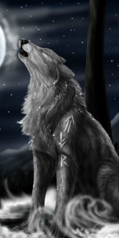 Animal Wolf, 1080x2160